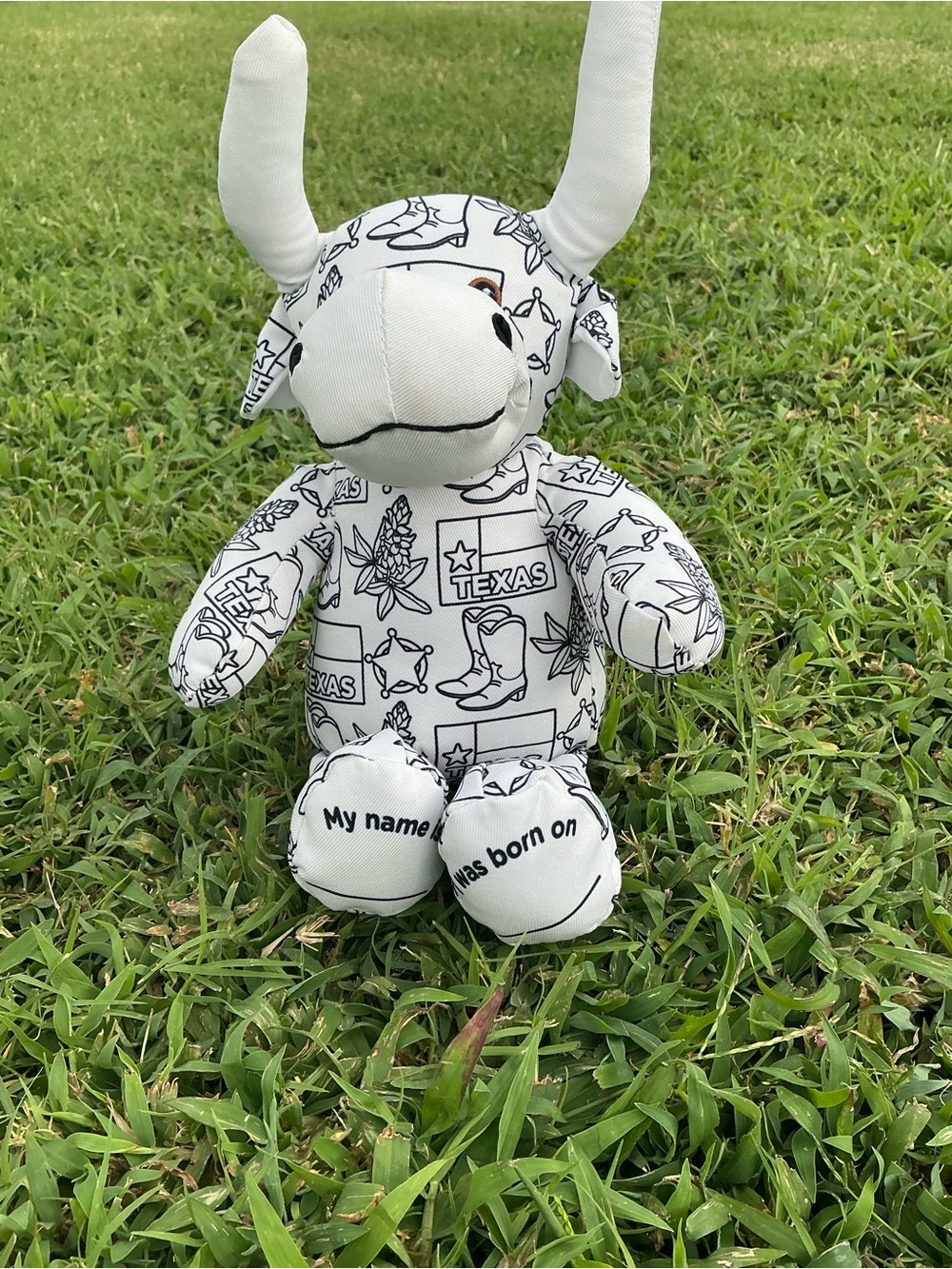 Source Unknown Texas Print Plush Longhorn - White and Black